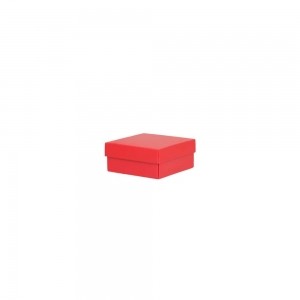 Luxe geschenkdoos - Rood (mat) - 12x12x5,5 cm-0